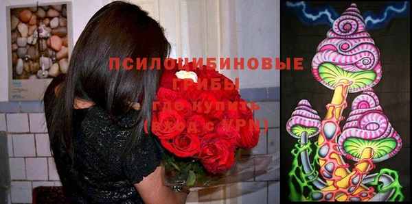 spice Бронницы