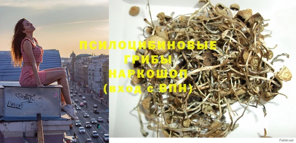 spice Бронницы