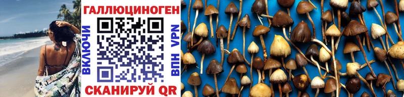 Псилоцибиновые грибы MAGIC MUSHROOMS  Великий Новгород 