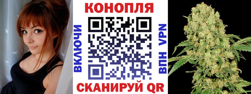 где купить   hydra маркетплейс  МАРИХУАНА THC 21%  Великий Новгород 